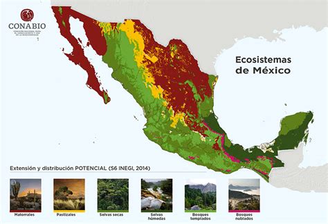 ecosistemas en mexico - feminicidios en mexico